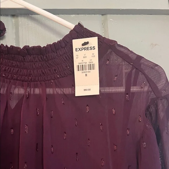 Express Plum Sheer Smocked Waist & Neck Long Sleeve Blouse - Picture 2 of 5